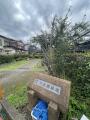 練馬・西大泉4丁目(売地)画像7